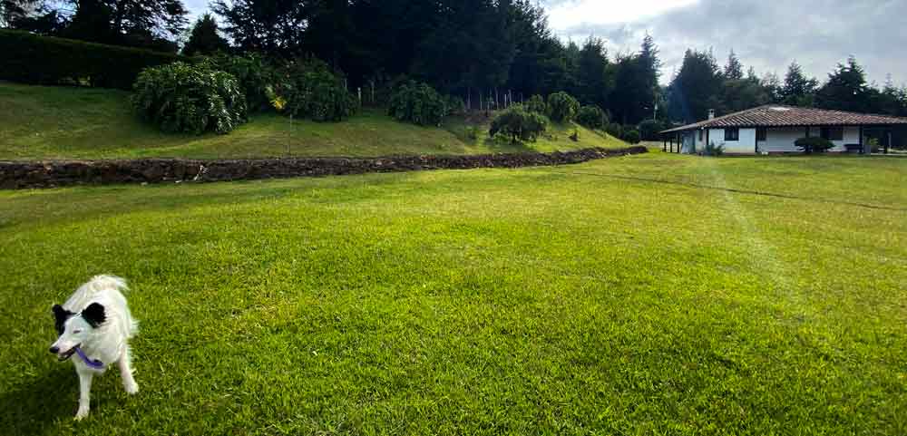 Retire cheap in medellin